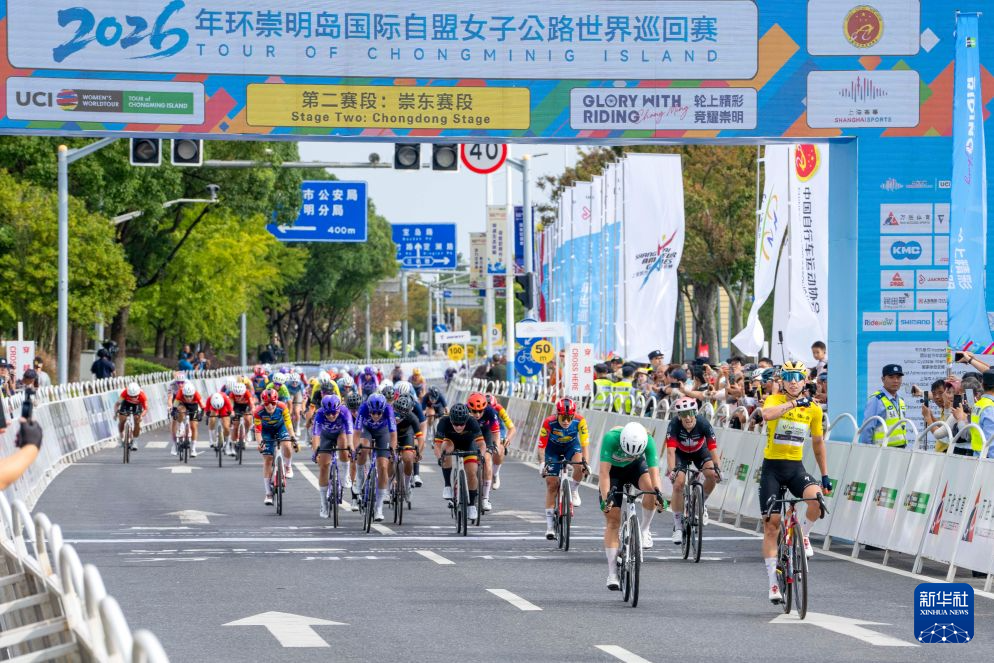 TYC产品图片