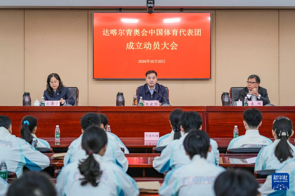 专业TYC服务